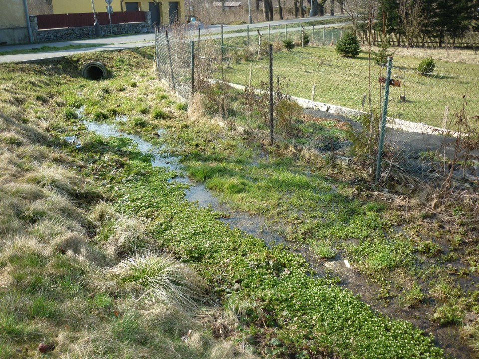 Přetékající potůček_náhon 001.JPG