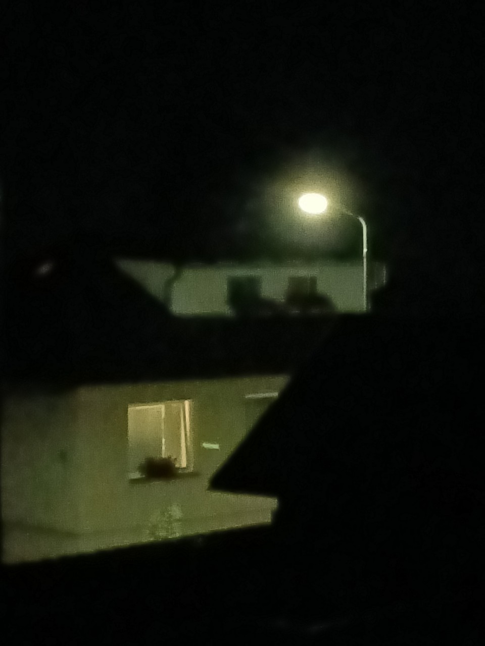 IMG20240707232020.jpg