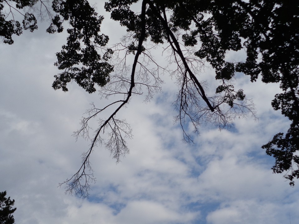 DSC05438.JPG