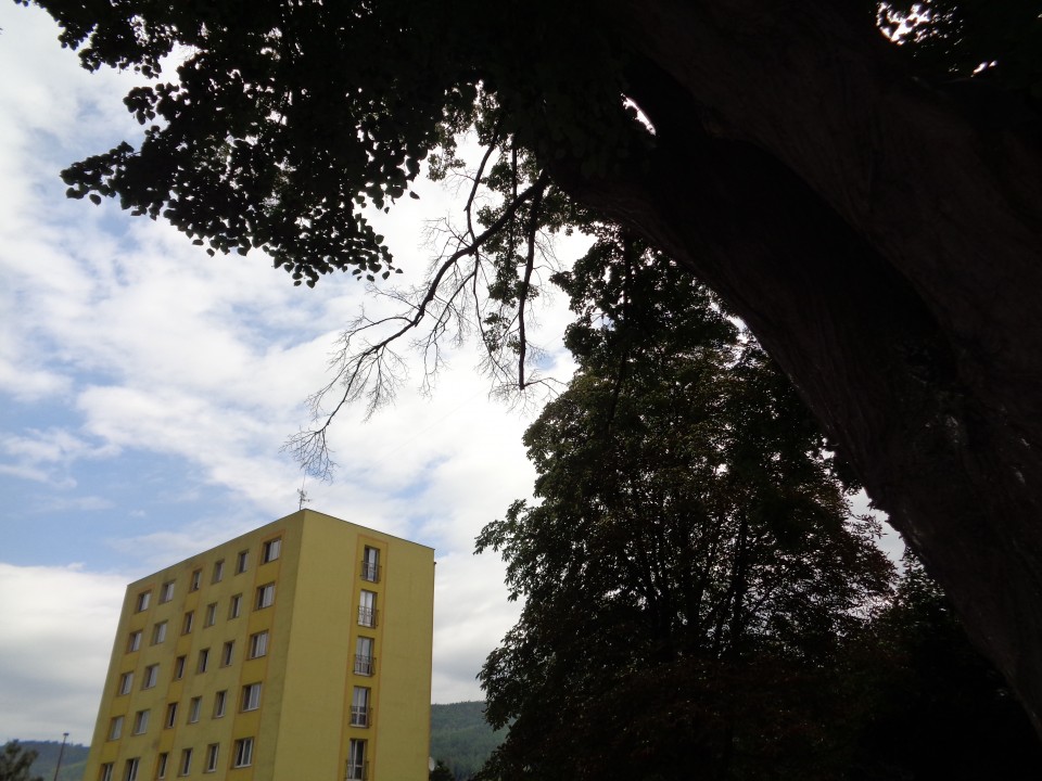 DSC05439.JPG